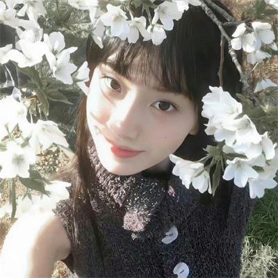 中国诗词大会第二季